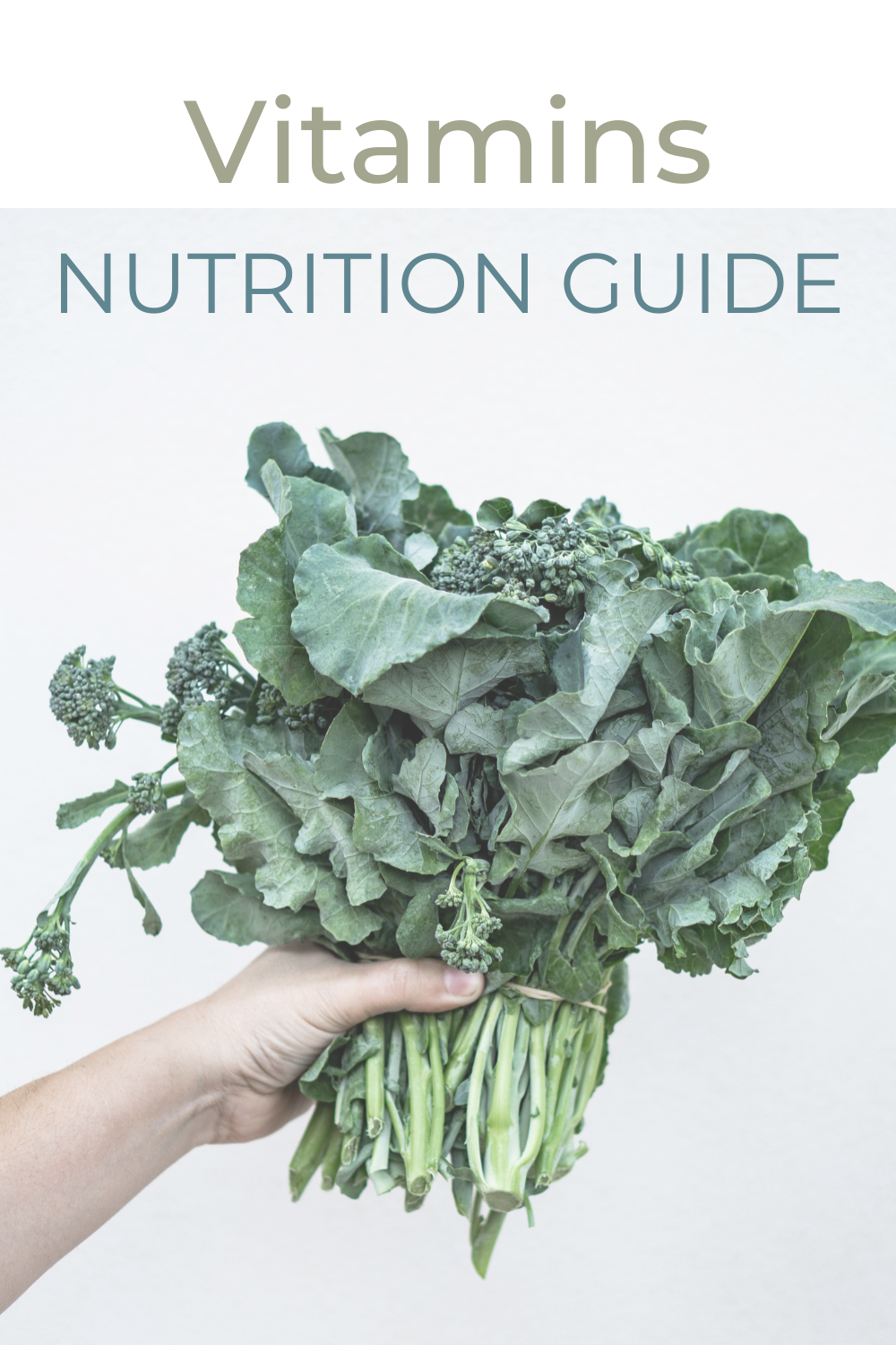 Get the Vitamins Nutrition Guide!